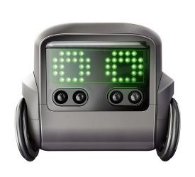 Boxer Interactive Robot